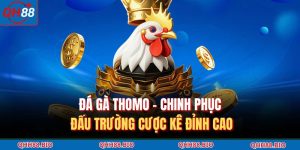Đá Gà Thomo – Chinh Phục Đấu Trường Cược Kê Đỉnh Cao