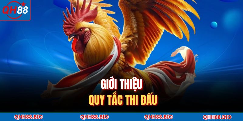 Giới thiệu quy tắc thi đấu 